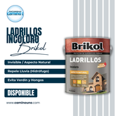 Brikol Ladrillos Incoloro Akzo-Nobel x 20 litros