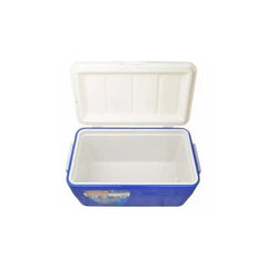 Conservadora Beach 48QT Coleman