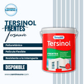 Tersinol Frentes Impermeabilizante x 05 kg