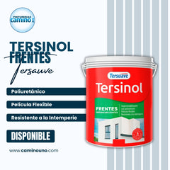 Tersinol Frentes Impermeabilizante x 25 kg