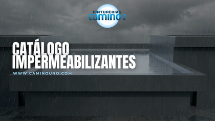 Catálogo Impermeabilzantes - Camino Uno