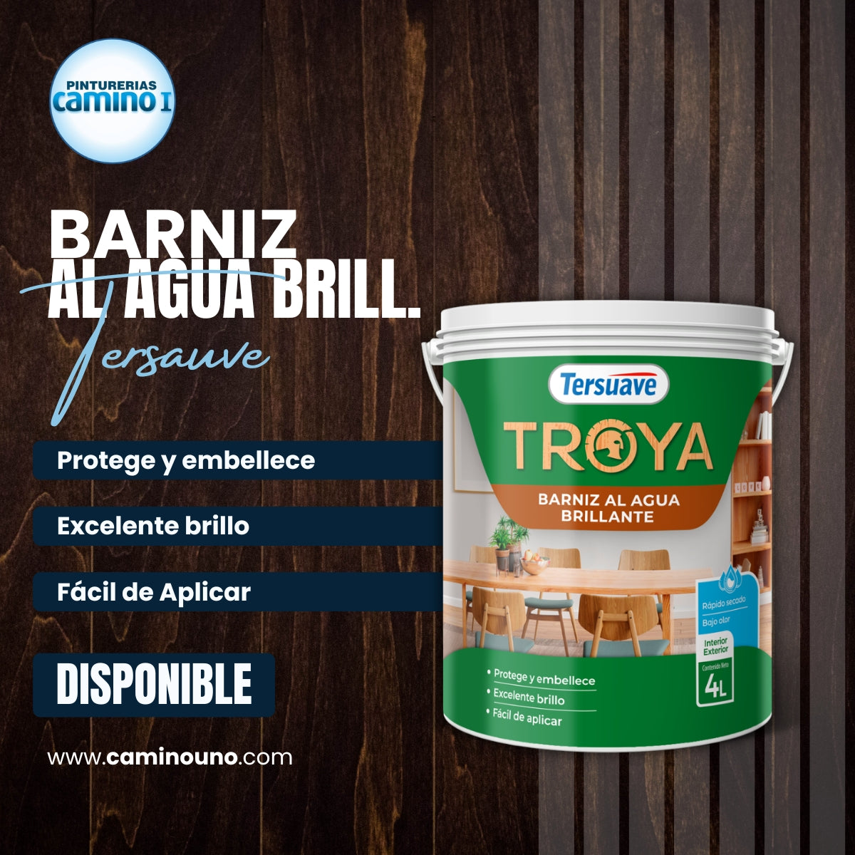 Troya Barniz al Agua Brillante Tersuave x 01 litros