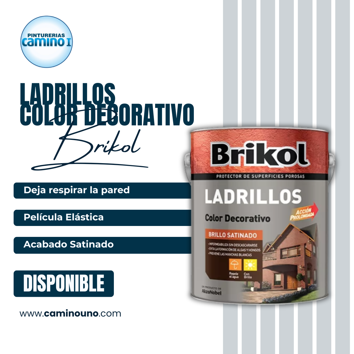 Brikol Ladrillos Color Decorativo Akzo-Nobel x 01 litros