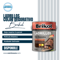 Brikol Ladrillos Color Decorativo Akzo-Nobel x 01 litros