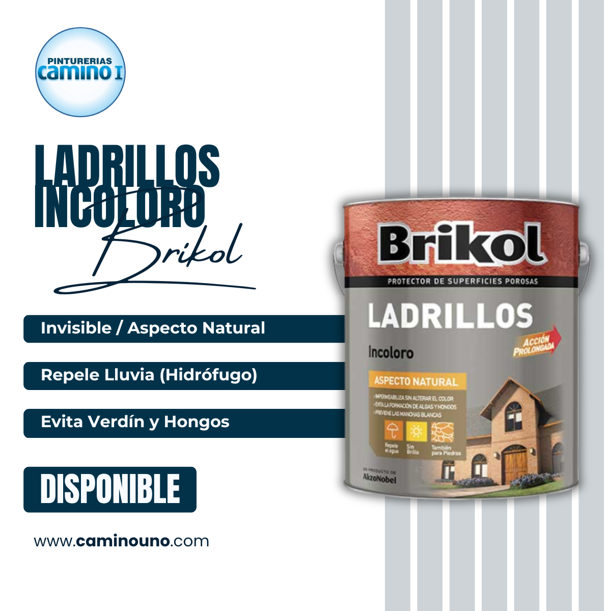 Brikol Ladrillos Incoloro Akzo-Nobel x 04 litros