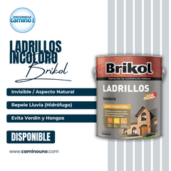 Brikol Ladrillos Incoloro Akzo-Nobel x 04 litros