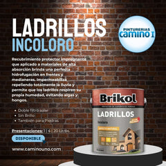Brikol Ladrillos Incoloro Akzo-Nobel x 01 litros