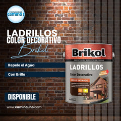 Brikol Ladrillos Color Decorativo Akzo-Nobel x 20 litros