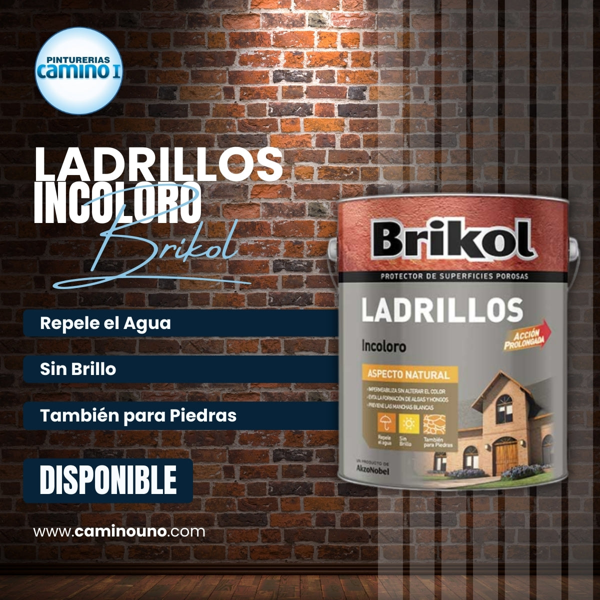 Brikol Ladrillos Incoloro Akzo-Nobel x 20 litros