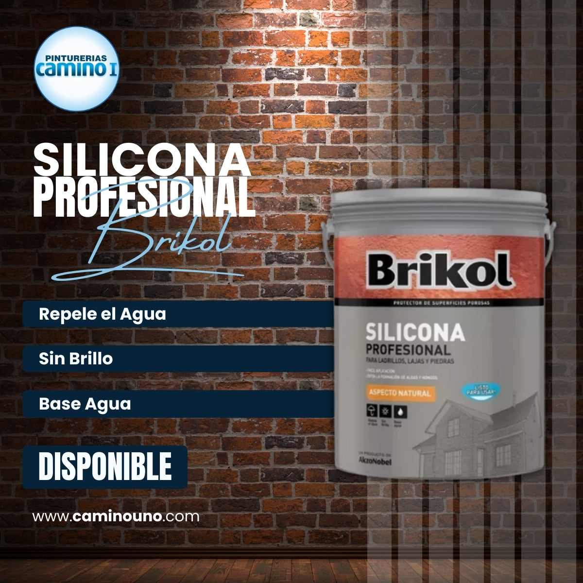 Silicona Profesional Brikol x 20 litros