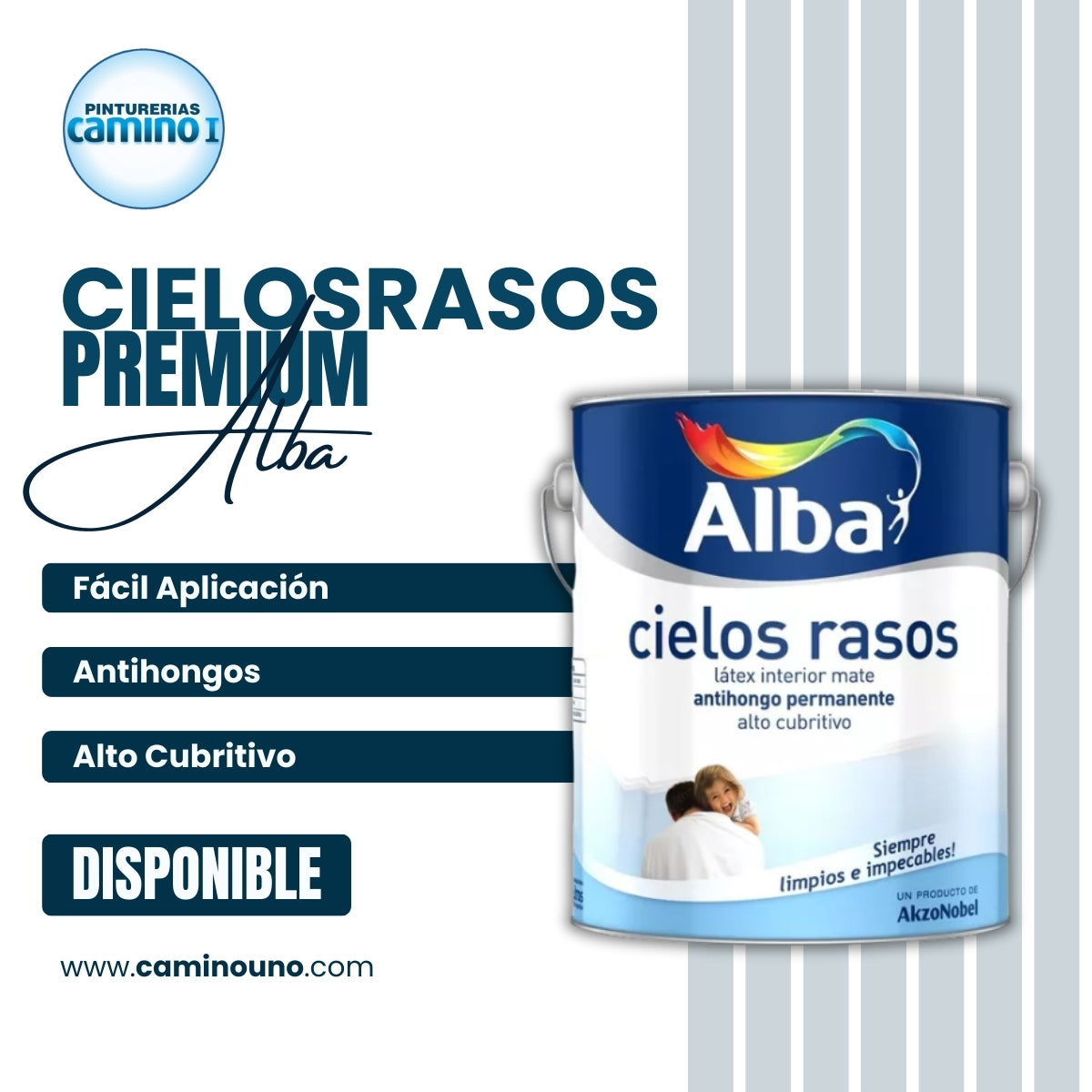 Cielorraso Premium Alba x 10 litros