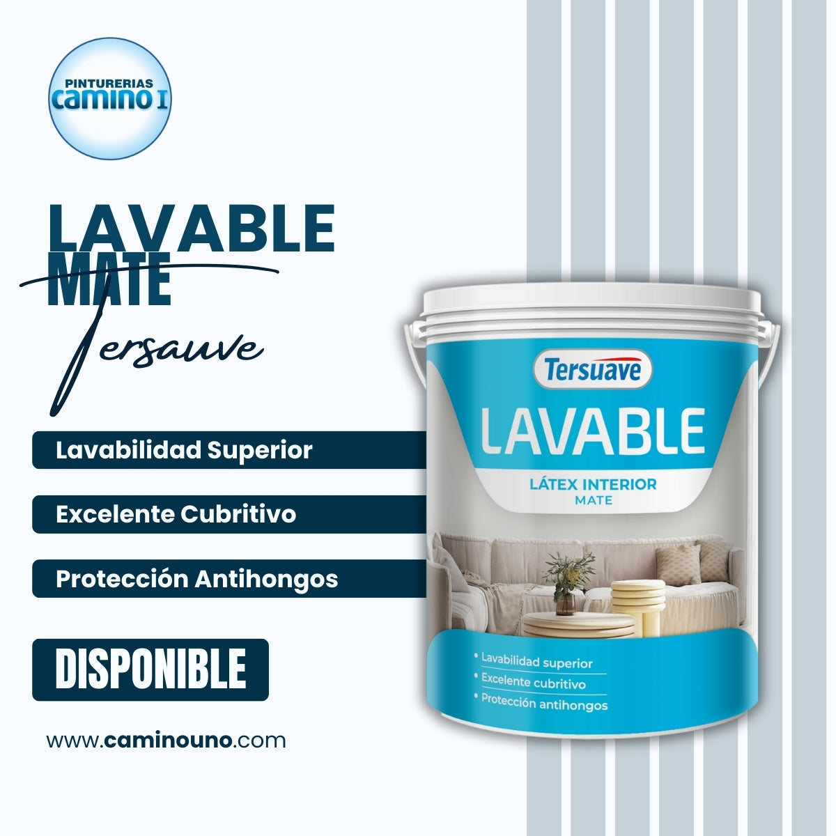 Lavable Interior Mate x 20 litros