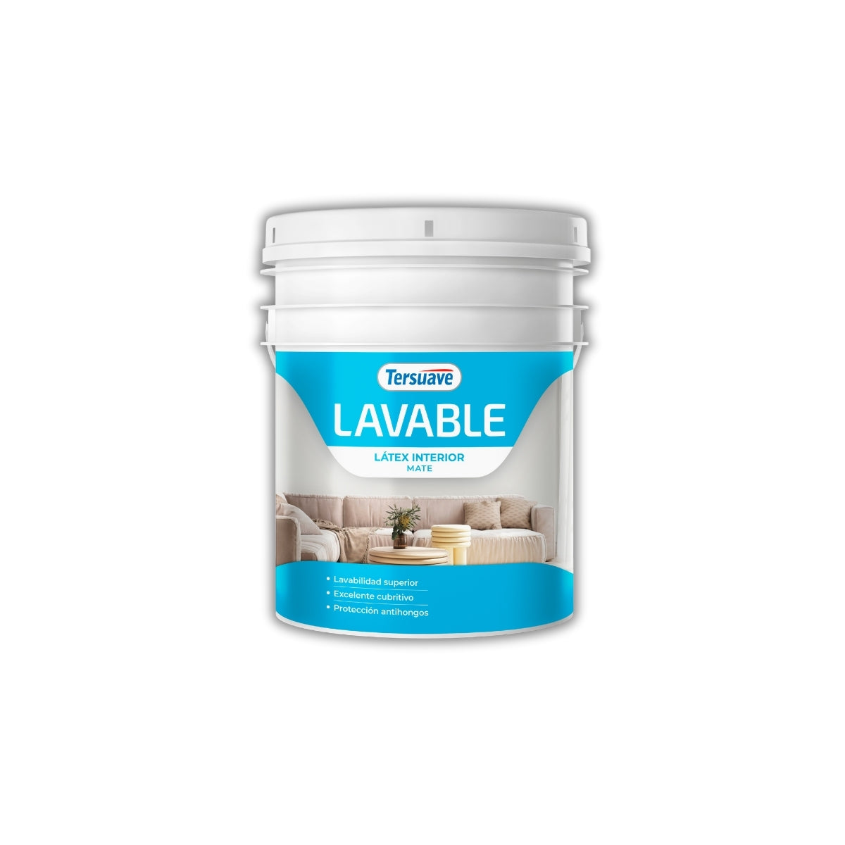 Lavable Interior Mate x 10 litros