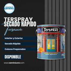Terspray Secado Rapido x 01 litros