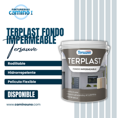 Terplast Fondo Impermeable x 25 kilos