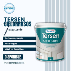 Tersen Cielorraso Tersuave x 20 litros