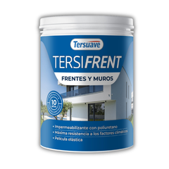 Tersifrent Frentes y Muros Tersuave x 01 Litros