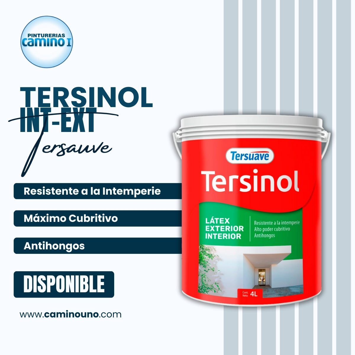 Tersinol Interior-Exterior x 20 litros