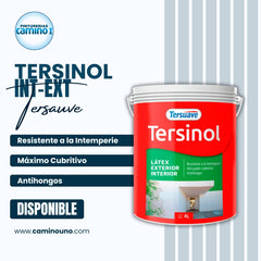 Tersinol Interior-Exterior x 20 litros