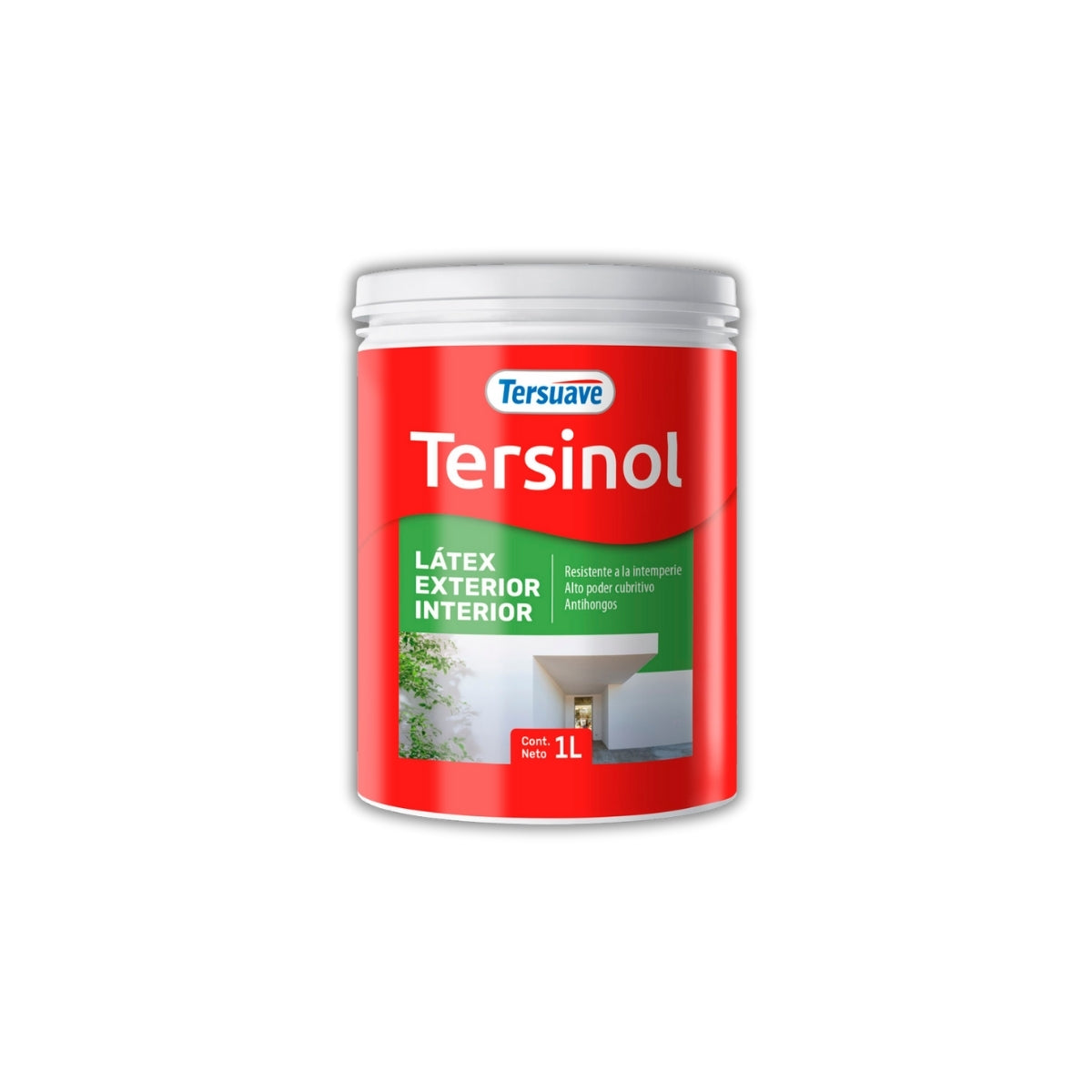 Tersinol Interior-Exterior x 01 litros