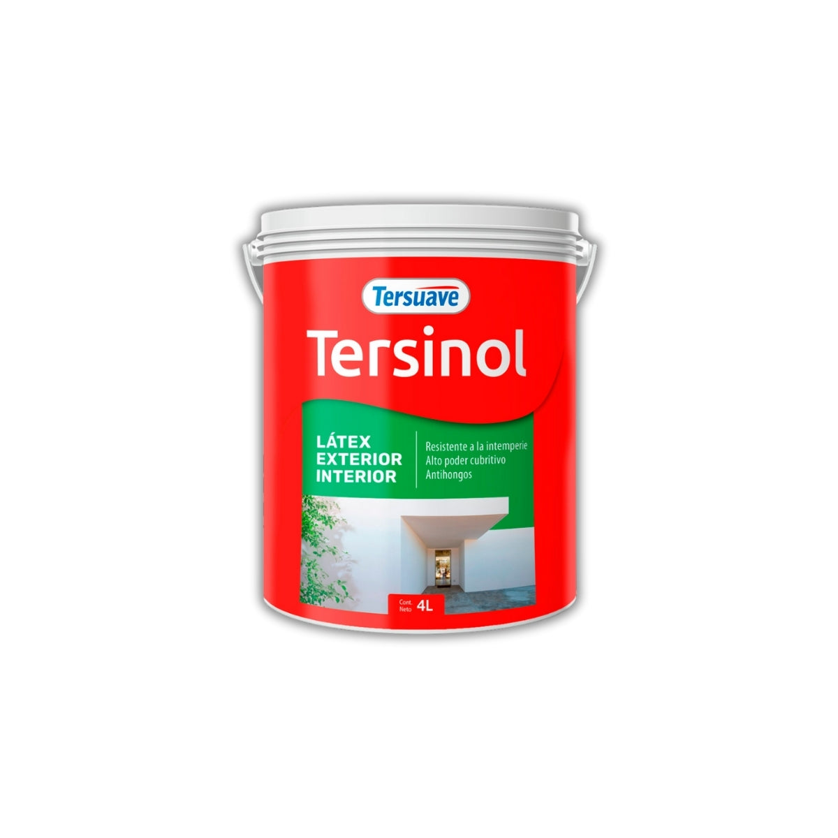 Tersinol Interior-Exterior x 04 litros