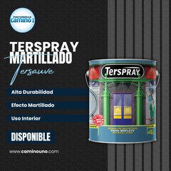 Terspray Martillado x 01 litros